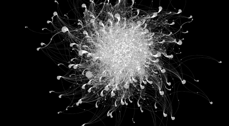 My like network